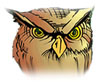 dundalk owl